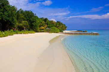 tropical beach with palm trees