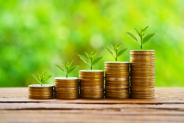planting trees coin pile with sunlight