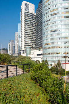 Green rooftop garden with corporate skyscrapers in background, Mexico City, Mexico, sustainable urban design and ecological architecture for clean energy and city planning