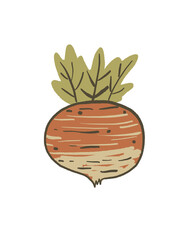 vector illustration of vegetables