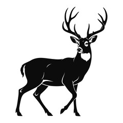 Obraz premium Black Silhouette of a Majestic Buck Deer with Large Antlers Standing on White Background
