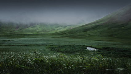Lush green valley landscape with rolling hills, misty atmosphere, and a tranquil pond reflecting...