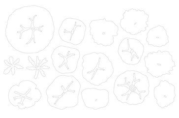 Vector tree top view isolated on white background for landscape plan and architecture layout drawing, elements for environment and garden