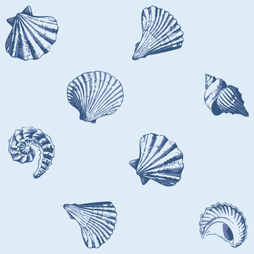 Hand drawn nautical vector seamless pattern. Pastel sea shell pattern ideas for background, textile, home decor, banner, template, business, carpet and rugs.