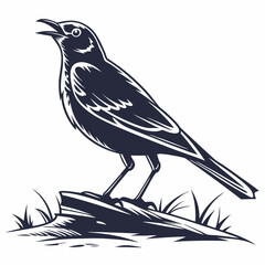 bird on a branch