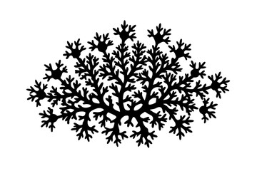 black and white floral ornament