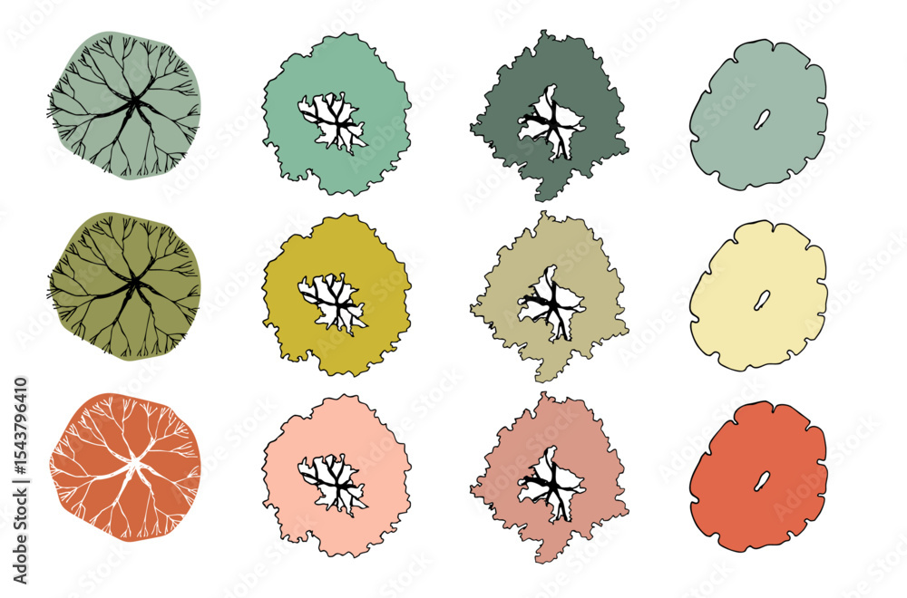 Poster Vector tree top view isolated on white background for landscape plan and architecture layout drawing, elements for environment and garden