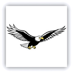 Horizontal banner with two beautiful colorful toucan birds (Ramphastidae) on a branch in a rainforest. Couple of toucan bird and leaves of tropical plants on sunny background. Copy space for text