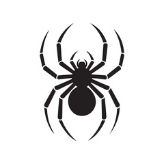  black spider silhouette with segmented legs and detailed body, isolated on clean white background for design use.