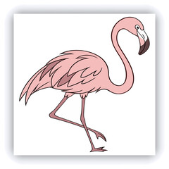 Horizontal banner with two beautiful colorful toucan birds (Ramphastidae) on a branch in a rainforest. Couple of toucan bird and leaves of tropical plants on sunny background. Copy space for text