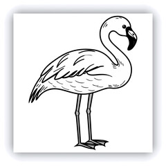 Horizontal banner with two beautiful colorful toucan birds (Ramphastidae) on a branch in a rainforest. Couple of toucan bird and leaves of tropical plants on sunny background. Copy space for text