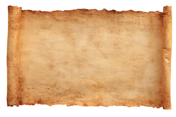 Blank antique scroll for text or design. Grunge texture.