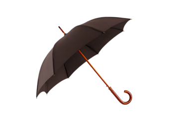 Elegant dark umbrella with a wooden handle.