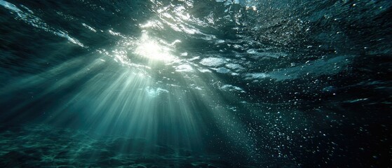 Stunning Underwater Scene Sunbeams  Bubbles