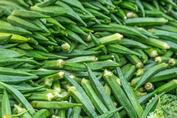 Ladyfinger, popularly known as bhindi or Derosh in India and Bangladesh. Fresh Organic okra on the...