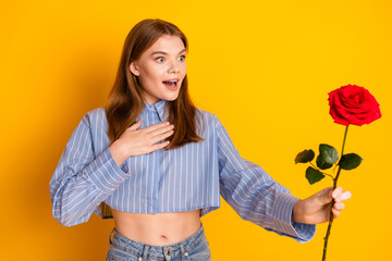 Young woman surprisedly holding red rose in hand against vibrant yellow background, expressing...
