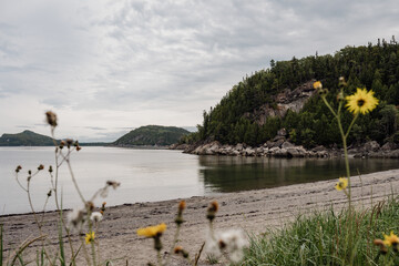 view from the beach of a lake shore with a hill with pine trees in the distance and wildflowers in...