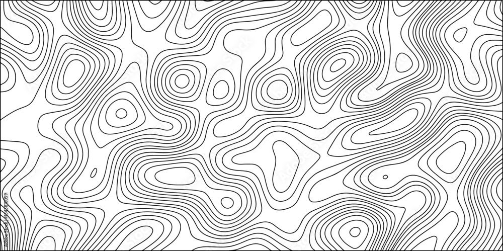 Poster abstract black and white background vector, topographic contours map background. wave line topograph