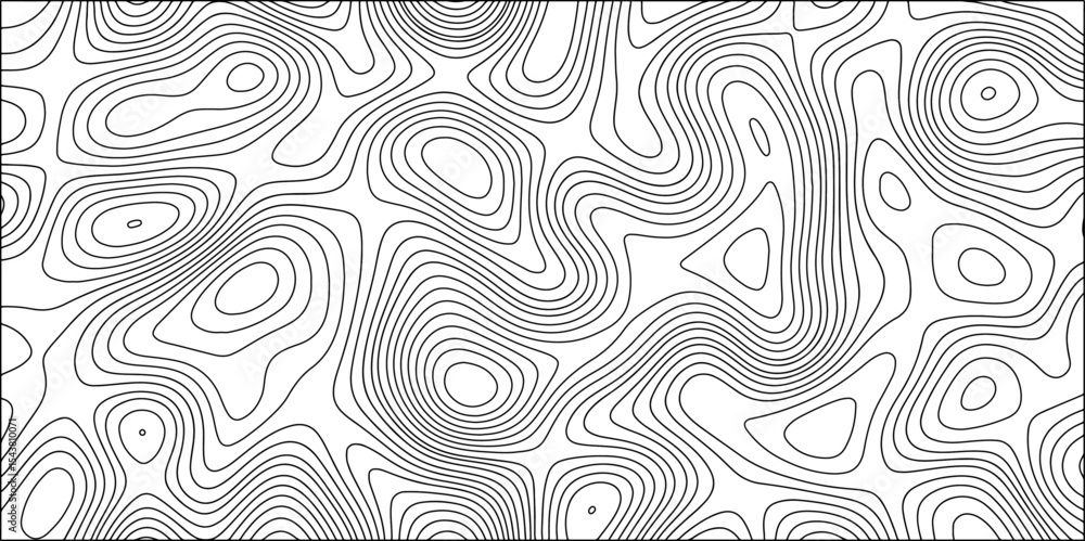 Poster abstract black and white background vector, topographic contours map background. wave line topograph