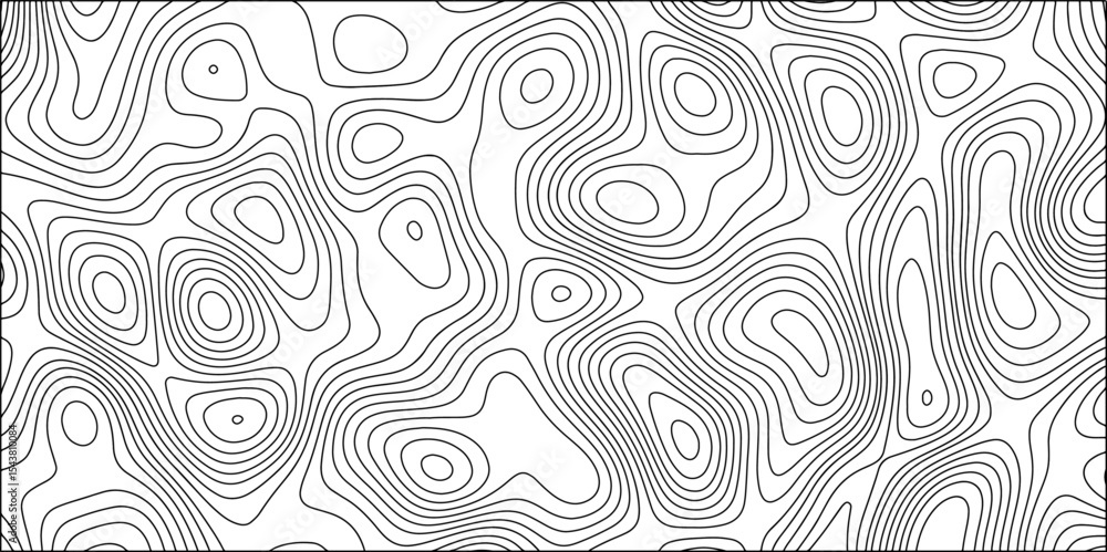 Poster abstract black and white background vector, topographic contours map background. wave line topograph