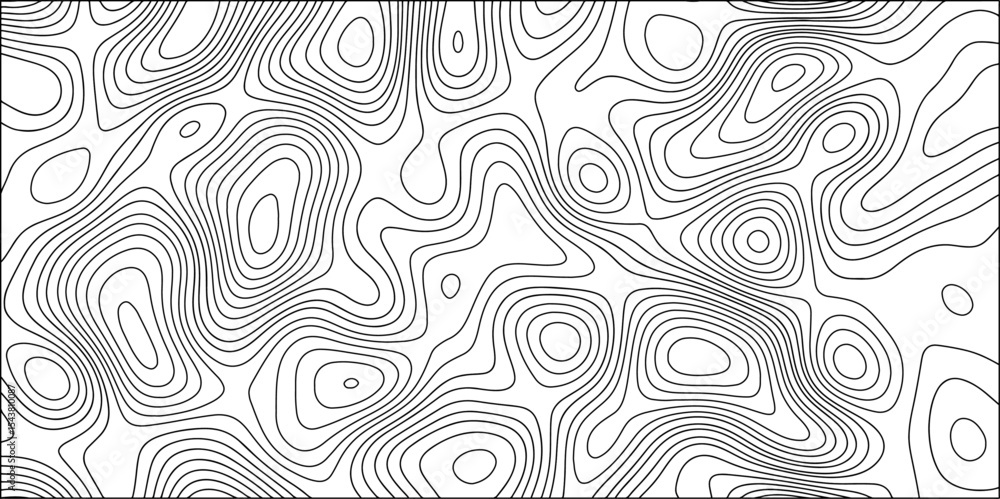 Poster abstract black and white background vector, topographic contours map background. wave line topograph