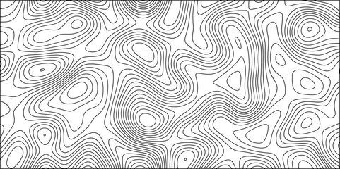 Abstract Black and white background vector, topographic contours map background. Wave Line topography map contour. Terrain lines, with varying line and featuring organic pattern