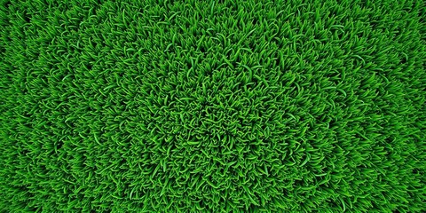 Lush green grass field, aerial view Ideal background for sports, nature, or garden themes, leaf, soccer