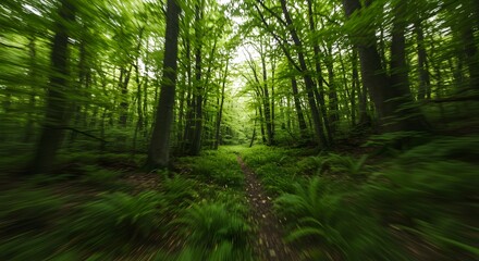 Motion-blurred forest trail with lush greenery