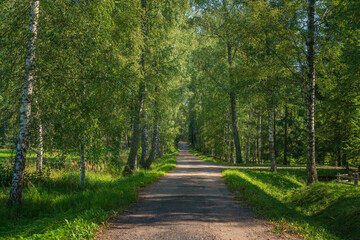 The country road to the Mikhailovskoye estate along the Festive glade on the territory of the...