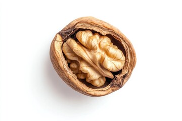 Fototapeta premium A whole walnut kernel without shell