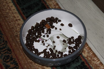 Indulge in the sweet combination of cat food for a delightful treat.