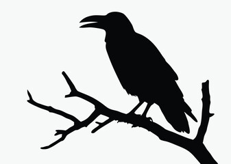 Crow on tree branch, bird silhouette vector, perched black and white illustration, spooky clipart, white background
