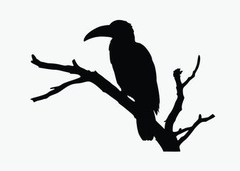 Crow on tree branch, bird silhouette vector, perched black and white illustration, spooky clipart, white background