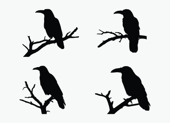 Crow on tree branch set , bird silhouette vector, perched black and white illustration, spooky clipart, white background