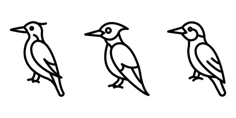 woodpecker outline or line icon design bundle.