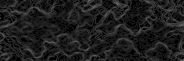 Fototapeta premium Abstract black and white topographic map illustration in vector style, showing contour lines, curves, and mountain ranges. Seamless pattern inspired by physical geography and terrain relief.