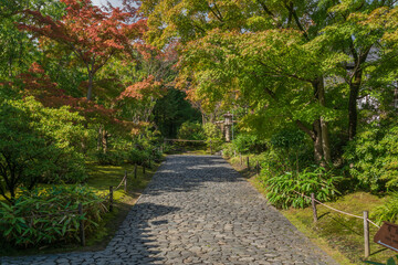 View of the alley in the Koko-en Garden on a sunny autumn day, Himeji, Hyogo Prefecture, Japan
