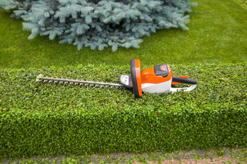 Hedge trimmer lie on a trimmed boxwood. Selective focus. Front view.
