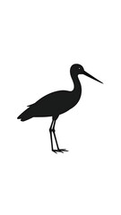 Obraz premium Black Silhouette Bird Profile.