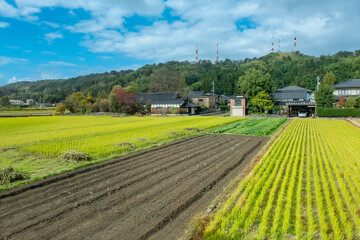 Agricultural farm in the countryside of Japan's seaside
