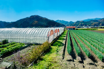 Agricultural farm in the countryside of Japan's seaside