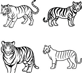 Set of Detailed Line Art Tiger Set on a white background
