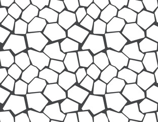 Abstract Geometric Pattern of Irregular Stones