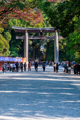 Japan's largest torii gate, leads to Meiji Jingu Shrine, Shibuya, Tokyo, Japan