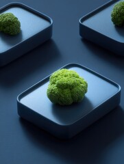 Three broccoli florets, each atop a dark blue square platform, arranged on a matching background, lit with dramatic shadows
