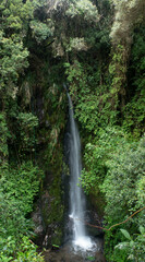 waterfall in Ecuadorian forest