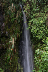 waterfall in Ecuadorian forest