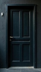 Dark, heavy black metal door, textured surface, apartment setting, texture, security, threshold