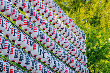 Paper lanterns with donor's names during Tori no Ichi, Shinjuku, Tokyo, Japan