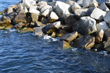 Fototapeta premium rocks on the beach